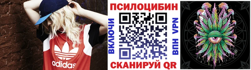 как найти закладки  Александровск-Сахалинский  Галлюциногенные грибы Magic Shrooms 