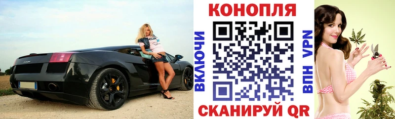 Шишки марихуана OG Kush Александровск-Сахалинский